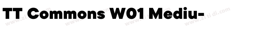 TT Commons W01 Mediu字体转换